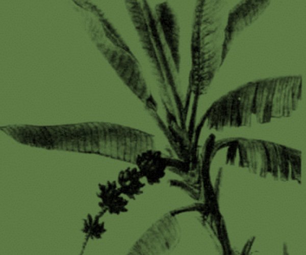 Patrimônio Natural e Estatuto do Tombamento