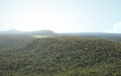 Corredores Ecológicos e Conectividade da Paisagem