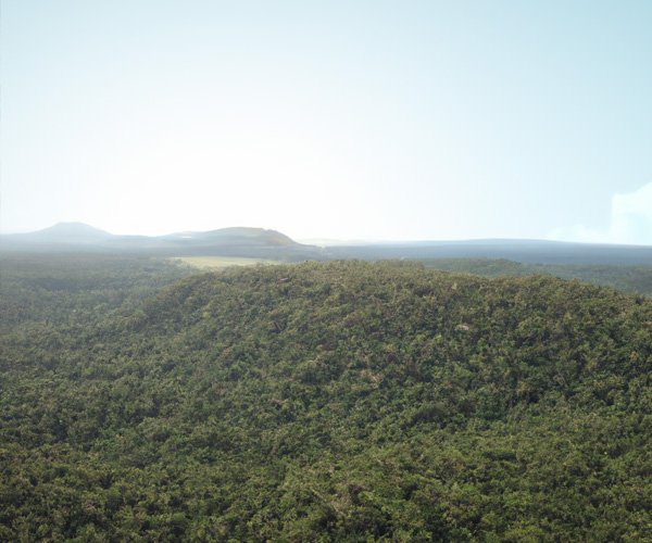 Corredores Ecológicos e Conectividade da Paisagem