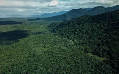 Plano de Ação Reserva da Biosfera da MA