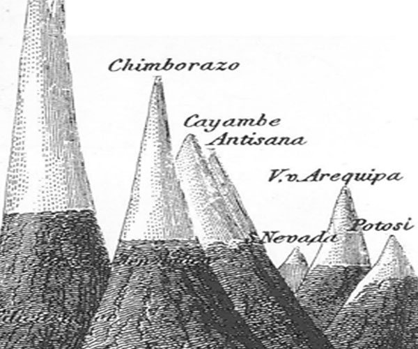 Cordillera de Los Andes – UICN