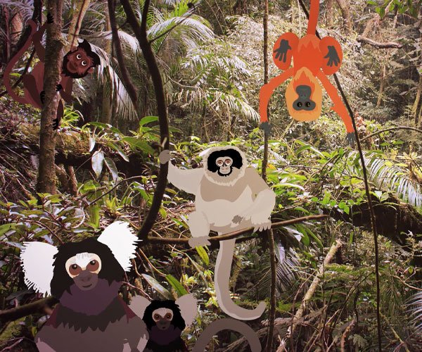 Campanha #SomosPrimatas