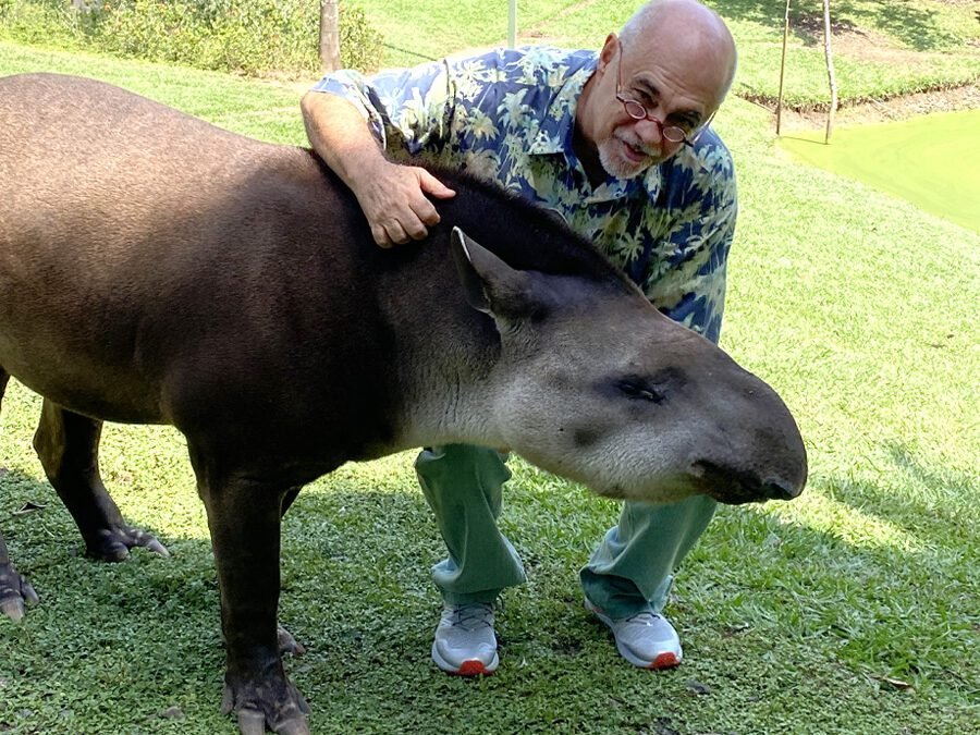 Quem é o mais esperto?