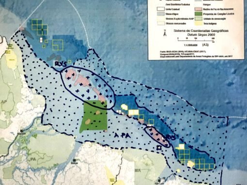 Esboço de um mosaico de áreas protegidas para a foz do rio Amazonas