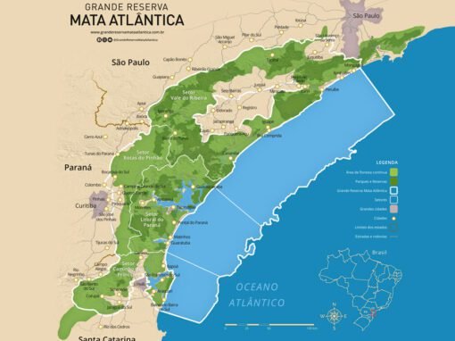 Grande Reserva da Mata Atlântica