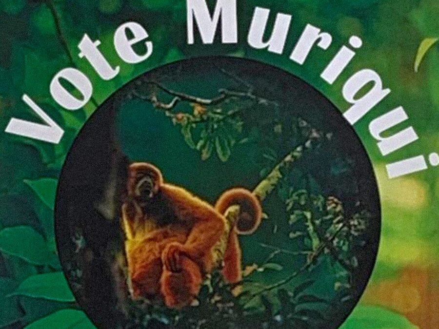 Vote Muriqui