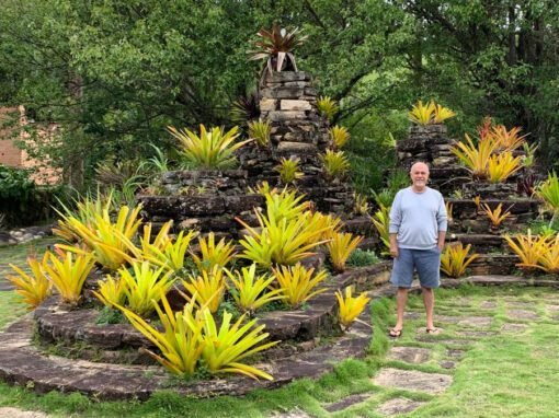 No jardim de volumes de Burle Marx da fazenda Vargem Grande, Areias, SP